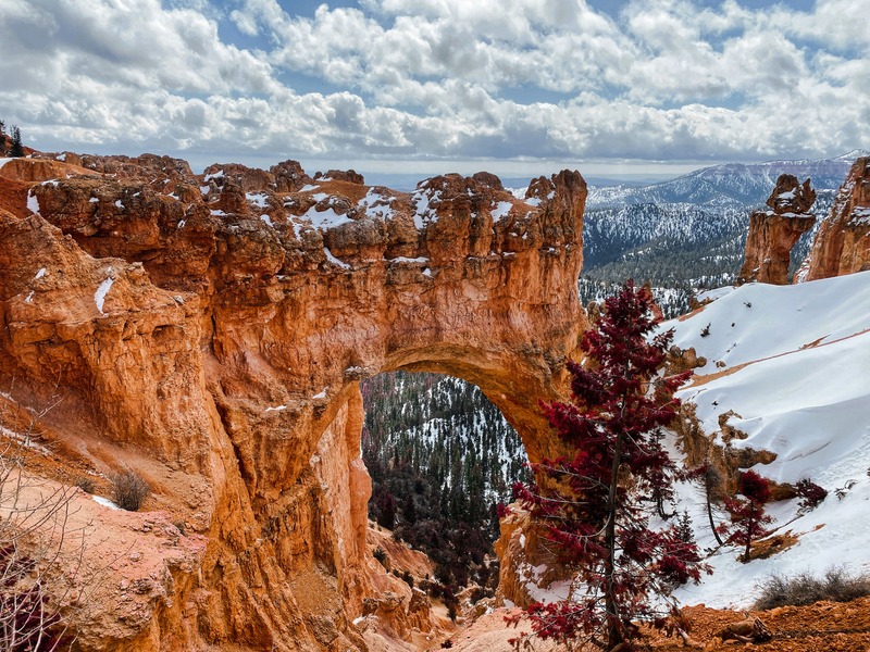 National Parks of Utah | Zion and Bryce Canyon